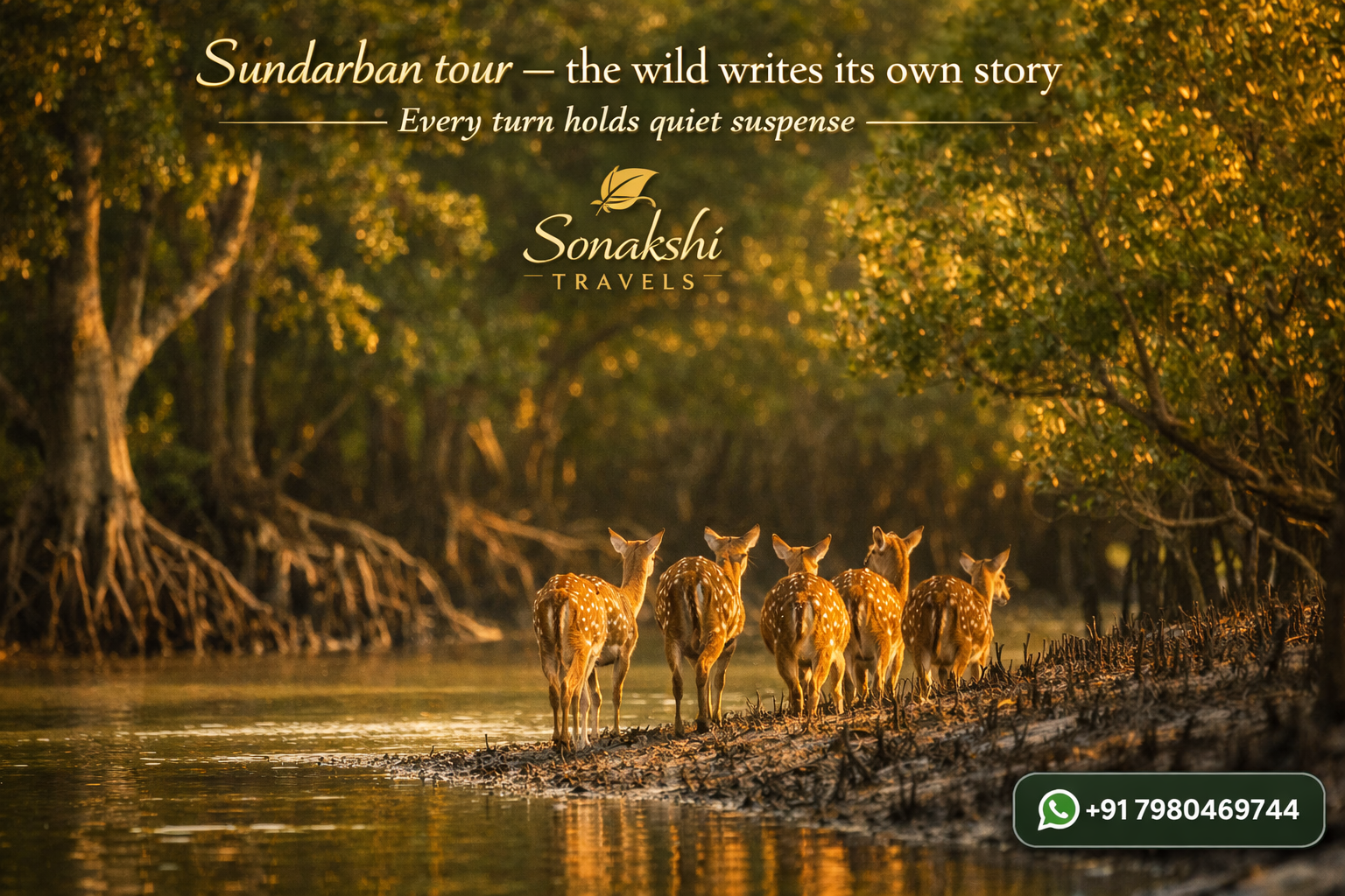 Sundarban tour — the wild writes its own story - Every turn holds quiet suspense