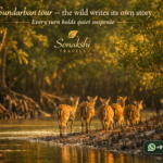 Sundarban tour — the wild writes its own story - Every turn holds quiet suspense